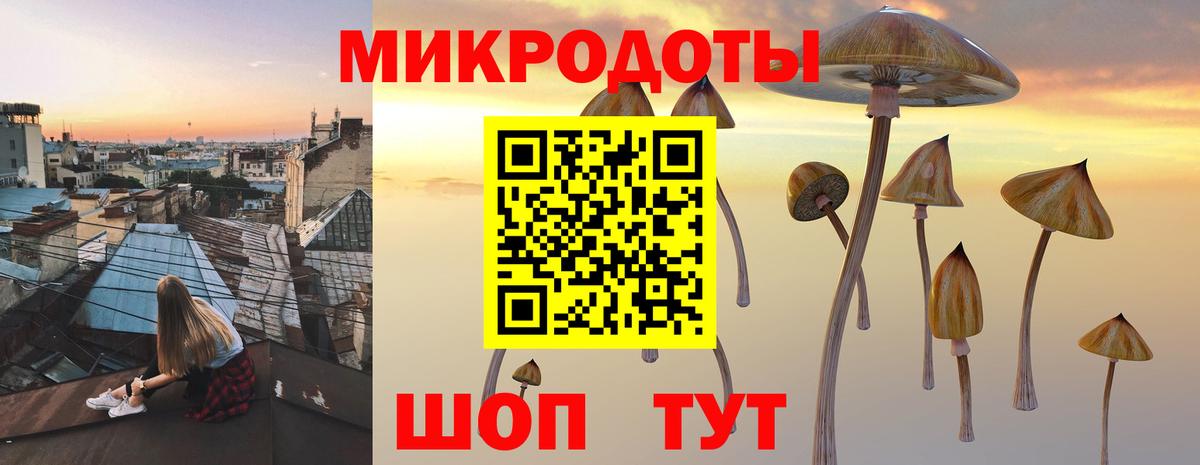 Чебоксары  Галлюциногенные грибы Psilocybe  Псилоцибиновые грибы ЛСД  наркотики  Вход с VPN 